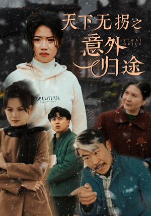 天下无拐之意外归途(61集)  天下无拐之意外归途(61集) 短剧全集大结局