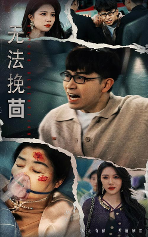 无法挽回（56集） 免费观看