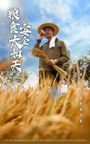 粮食安全大如天（43集） 精彩短剧片段