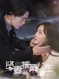 贤妻折翼逢生&雨落灯残梦(85集)   贤妻折翼逢生&雨落灯残梦(85集)  解说文案