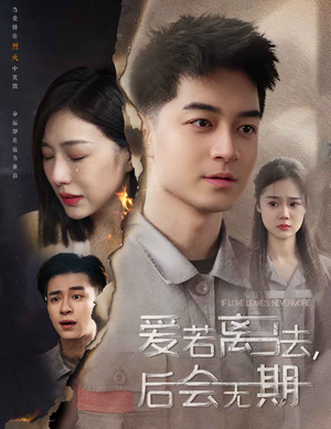 爱若离去,后会无期(70集) 爱若离去,后会无期(70集)在线免费观看