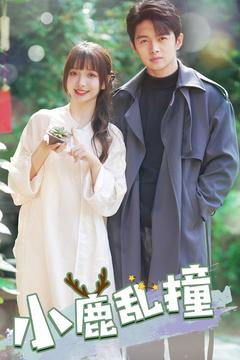 小鹿乱撞(40集)  小鹿乱撞(40集) 1-102集