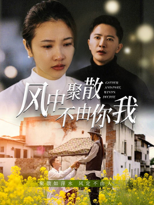 风中聚散不由你我(41集)  风中聚散不由你我(41集) 迅雷网盘观看