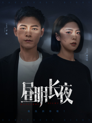 昼明长夜(35集)  昼明长夜(35集) 最新热剧免费看