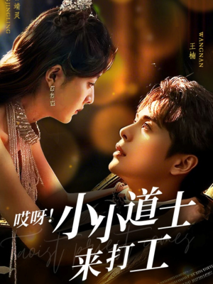 哎呀!小小道土来打工(80集) 哎呀!小小道土来打工(80集)演的怎么样