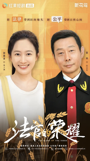 法官的荣耀（5集全）UC网盘在线看