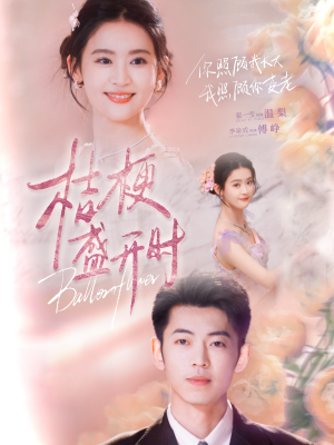 桔梗盛开时(92集) 桔梗盛开时(92集)热播古装短剧
