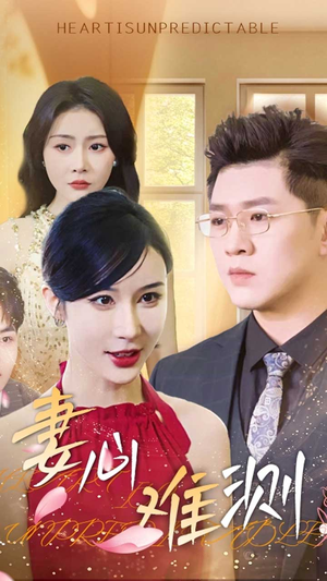 妻心难测(33集) 妻心难测(33集)好看上头的短剧