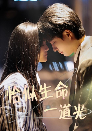 恰似生命一道光(60集)  恰似生命一道光(60集) 大结局一气呵成