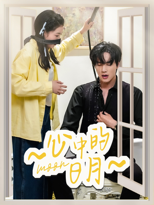 心中的日月（78集） 解说