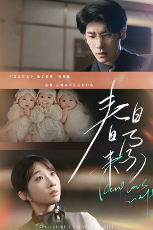 春日来孕(60集)  春日来孕(60集) 短剧更新抢先看