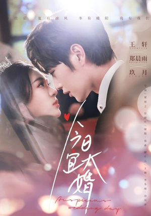 今日宜大婚(59集)  今日宜大婚(59集) 免费看全集