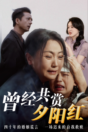 曾经共赏夕阳红 全网独播免费看