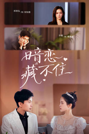 暗恋藏不住（25集）免费短剧看全集