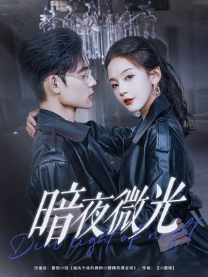 暗夜微光（86集）精彩的短剧