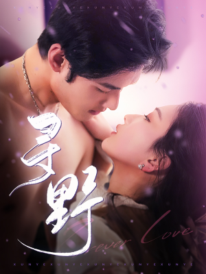 寻野(100集) 寻野(100集)80到100集