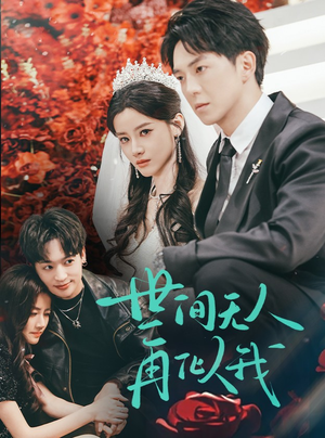 世间无人再似我(32集)  世间无人再似我(32集) 古装短剧推荐