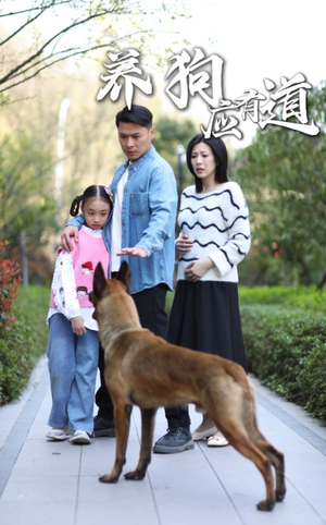 养狗应有道（60集）爆款热门短剧