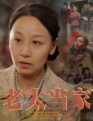 老太当家（60集）全集一次看完