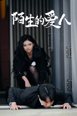 陌生的爱人(60集) 陌生的爱人(60集)短剧热播推荐