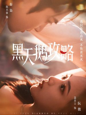 黑天鹅攻略(65集) 黑天鹅攻略(65集)无需充值尽情看