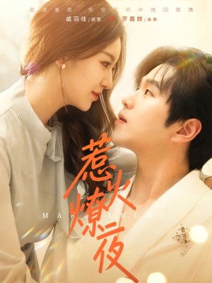 惹火燎夜(74集) 惹火燎夜(74集)最新短剧推荐