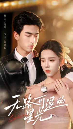 无路可退的星光(54集) 无路可退的星光(54集)免费短剧看全集