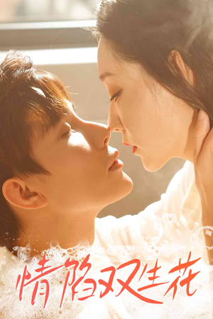 情陷双生花（30集）最近很火的短剧