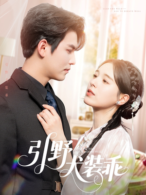 引野犬装乖(61集) 引野犬装乖(61集)精彩好看短剧