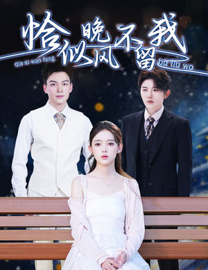 恰似晚风不留我(51集) 恰似晚风不留我(51集)完整版