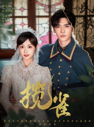 揽雀（61集）完整版免费观看