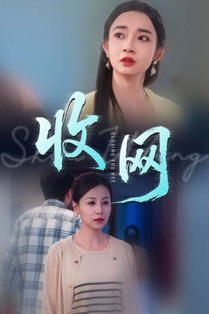 收网（60集）短剧前十排行榜