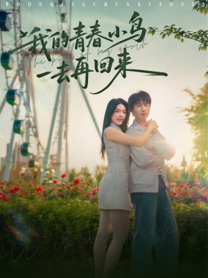 我的青春小鸟一去再回来（95集）红果短剧看全集