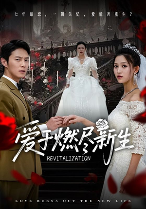 爱于燃尽新生（49集）直接追到结尾