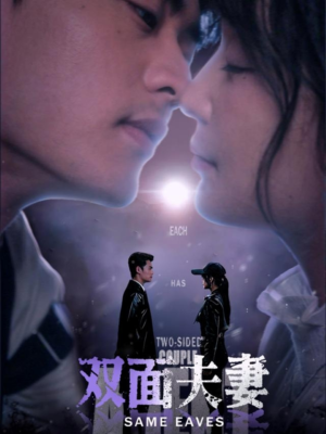 双面夫妻（67集）短剧在哪里看