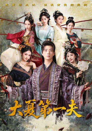 大夏第一夫（90集）最新热门短剧