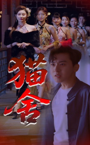 猫舍（34集）夸克在线观看