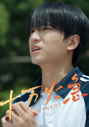 十万火急(30集) 十万火急(30集)好看短剧抢先看