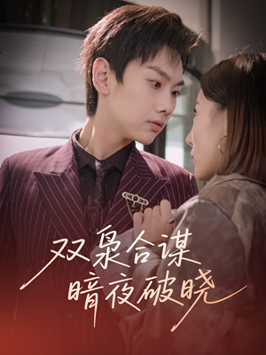 双枭合谋暗夜破晓(30集) 双枭合谋暗夜破晓(30集)热播短剧抢先看