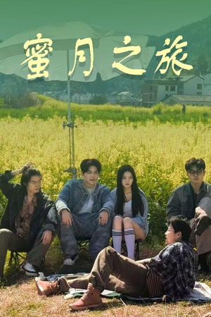 蜜月之旅(35集) 蜜月之旅(35集)免费观看