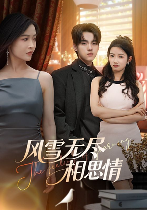 风雪无尽相思情(61集) 风雪无尽相思情(61集)演员表