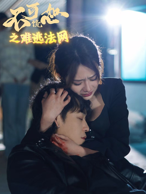 不可饶恕之难逃法网（20集）全集一次看完