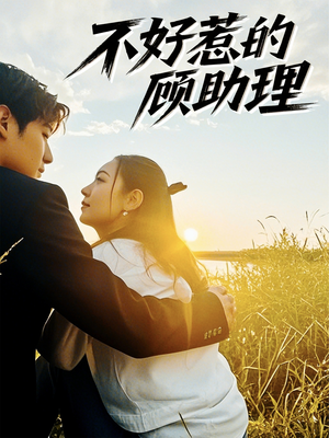 不好惹的顾助理(67集) 不好惹的顾助理(67集)独家资源免费看