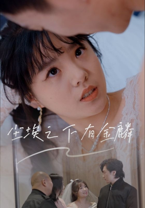 尘埃之下有金鳞(60集) 尘埃之下有金鳞(60集)大结局