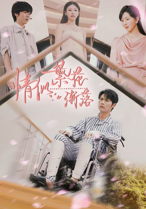 情似繁花渐落(62集) 情似繁花渐落(62集)1-102集