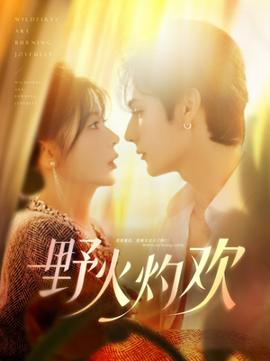 野火灼欢（61集）解说文案