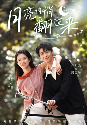 月亮悄悄翻过来(99集) 月亮悄悄翻过来(99集)在线免费观影