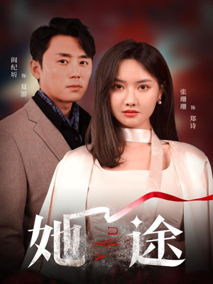 她途(48集) 她途(48集)爱上了这部剧了