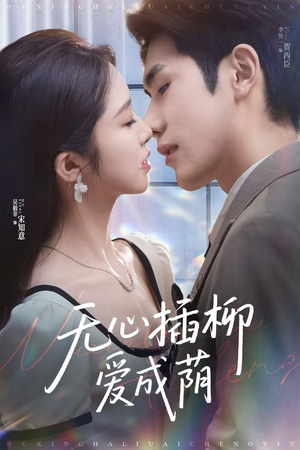 无心插柳爱成荫（80集）哪个网站可以看