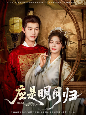 应是明月归（93集）短剧追不停